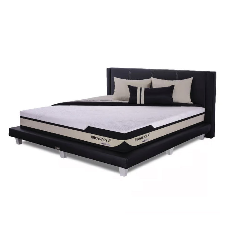 SPRING BED THERAPEDIC BUOYANCY F